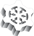 Logo Icon